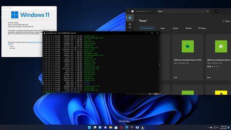 Learn About Windows Console & Windows Subsystem For Linux .